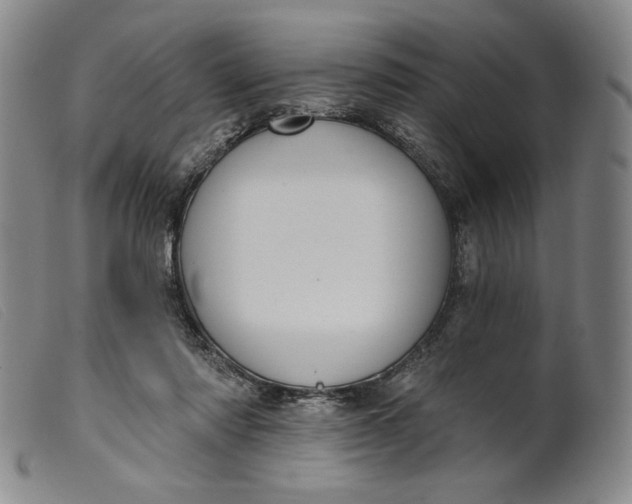 X0000099440310200805231724