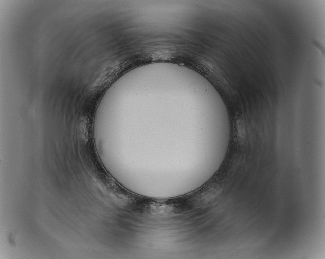 X0000099440311200805231724