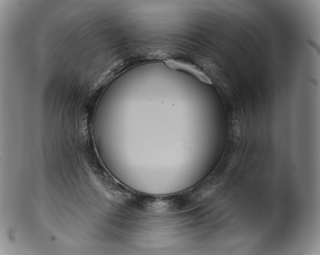 X0000099440312200805231724
