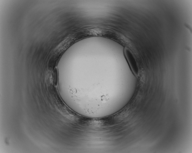 X0000099440313200805231724