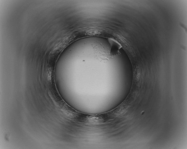 X0000099440315200805231724