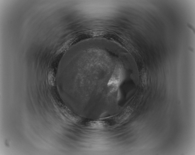 X0000099440316200805231724