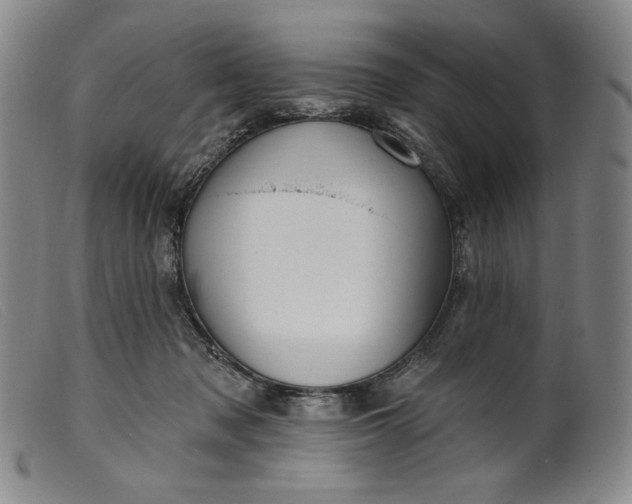 X0000099440317200805231724