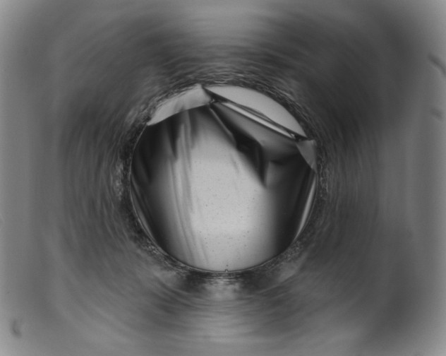 X0000099440319200805231724
