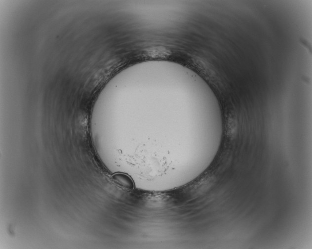 X0000099440321200805231724