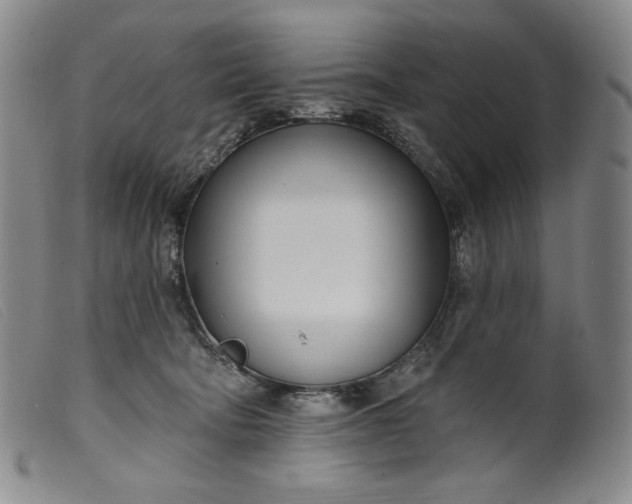 X0000099440322200805231724
