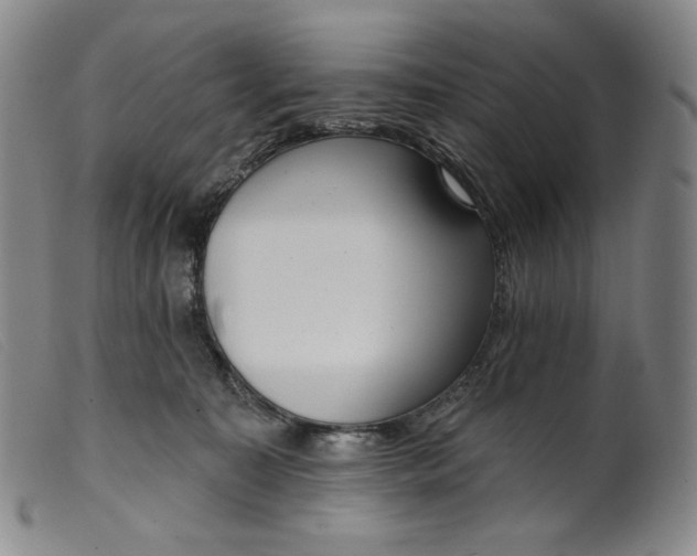 X0000099440323200805231724