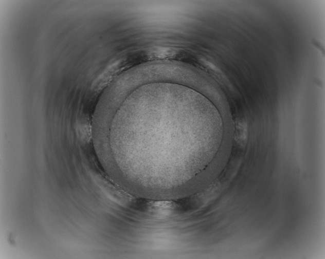 X0000099440324200805231724