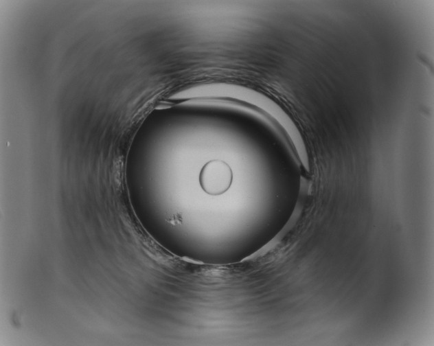 X0000099440325200805231724