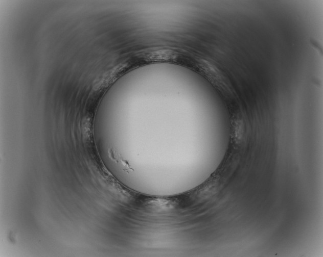 X0000099440326200805231724