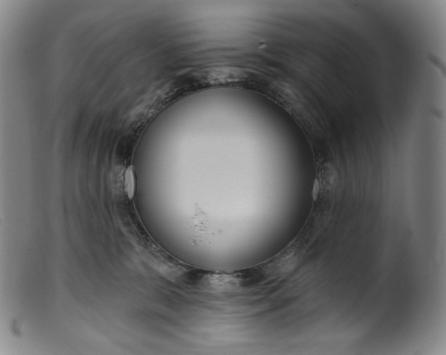 X0000099440327200805231724