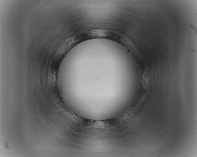 X0000099440330200805231724