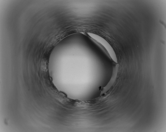 X0000099440331200805231724