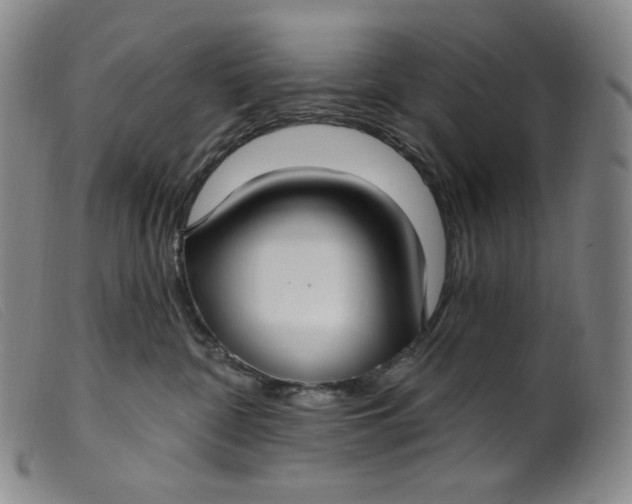 X0000099440332200805231724