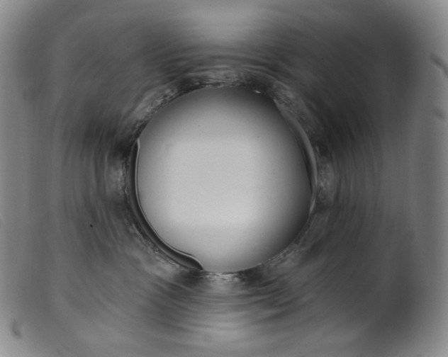X0000099440333200805231724