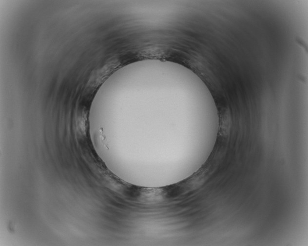 X0000099440334200805231724