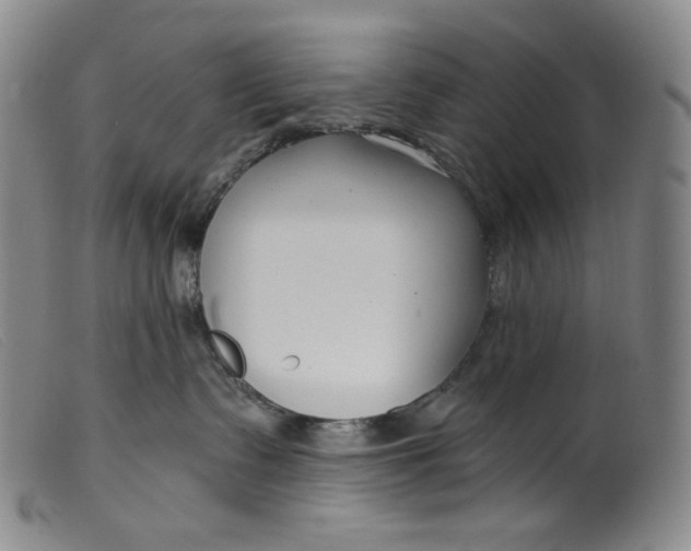 X0000099440335200805231724