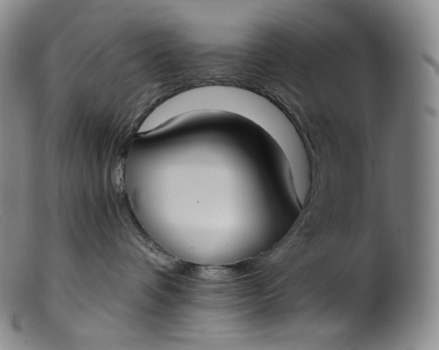 X0000099440336200805231724