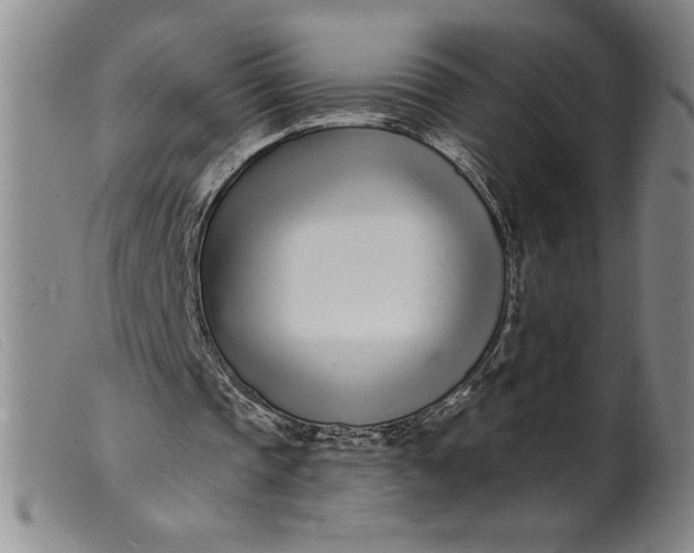 X0000099440337200805231723