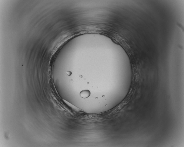 X0000099440338200805231723
