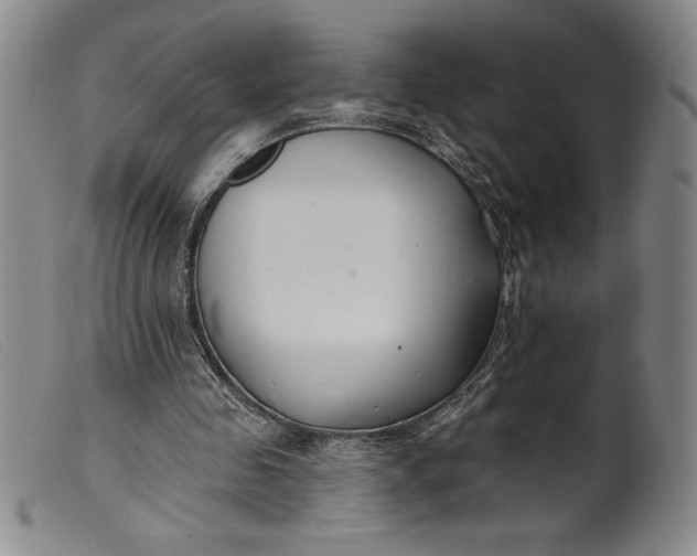 X0000099440341200805231723