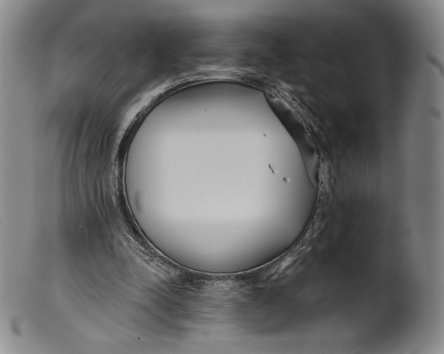 X0000099440342200805231723