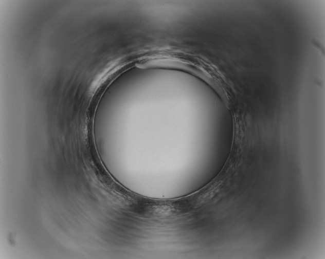 X0000099440344200805231723