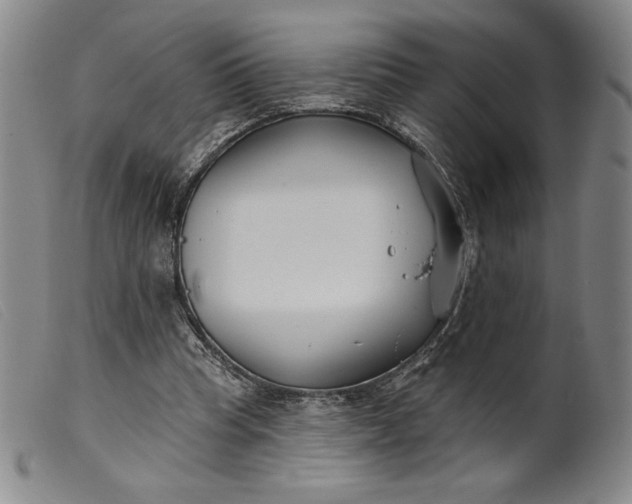 X0000099440345200805231723