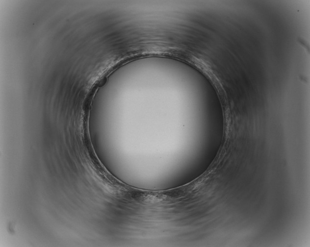 X0000099440346200805231723