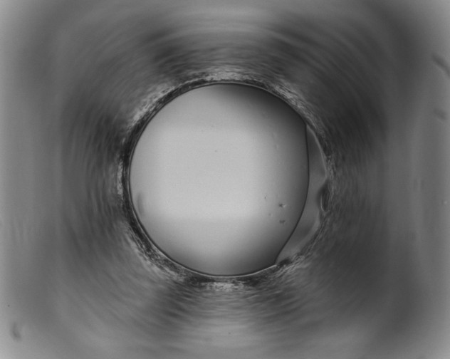 X0000099440347200805231723