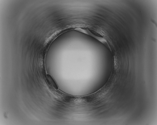 X0000099440348200805231723