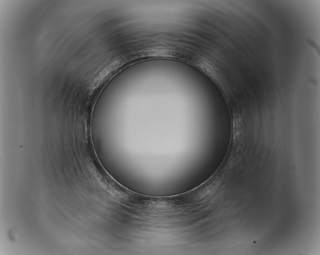 X0000099440349200805231723