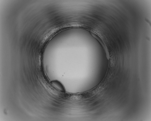 X0000099440350200805231723