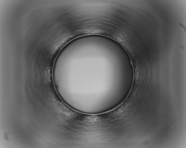 X0000099440351200805231723