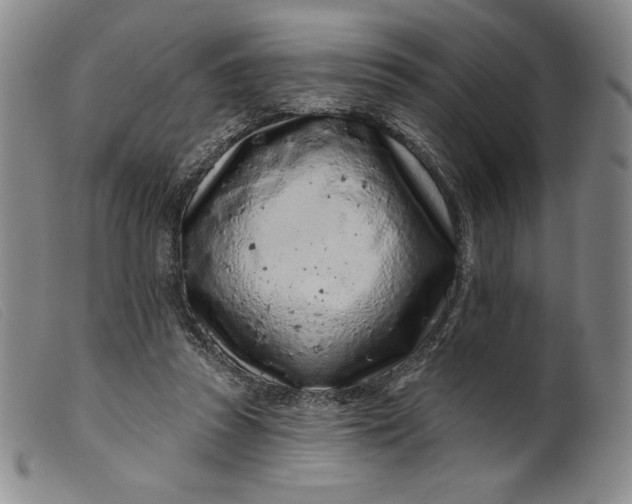 X0000099440353200805231723