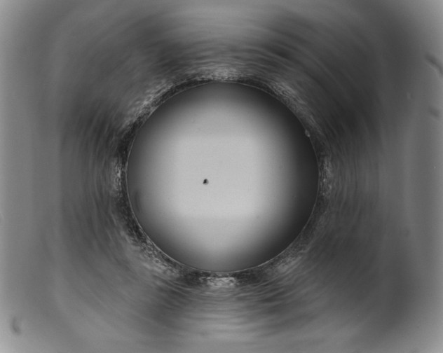 X0000099440355200805231723