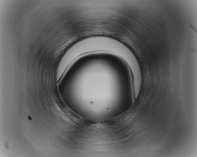 X0000099440356200805231723