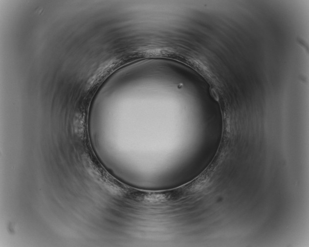 X0000099440357200805231723