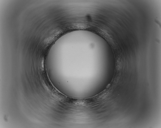 X0000099440358200805231723