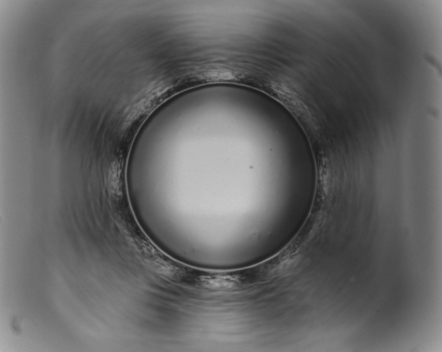 X0000099440359200805231723