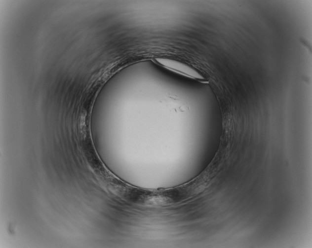 X0000099440360200805231723