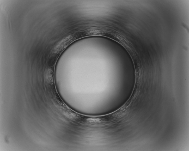 X0000099440361200805231723