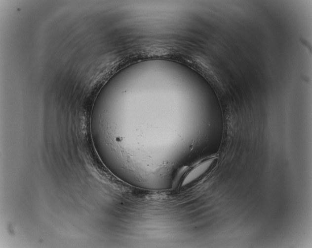 X0000099440362200805231723