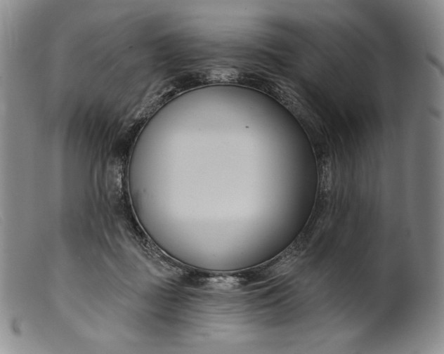X0000099440363200805231723