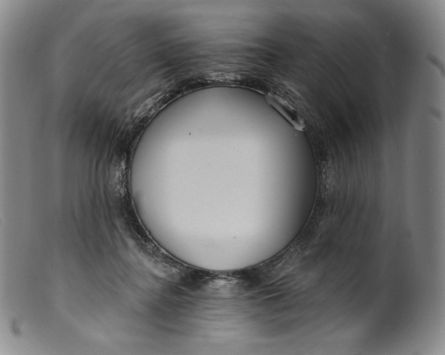 X0000099440364200805231723