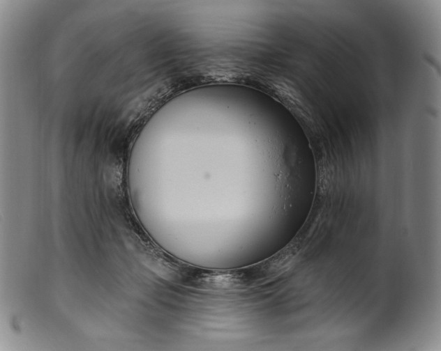 X0000099440365200805231723
