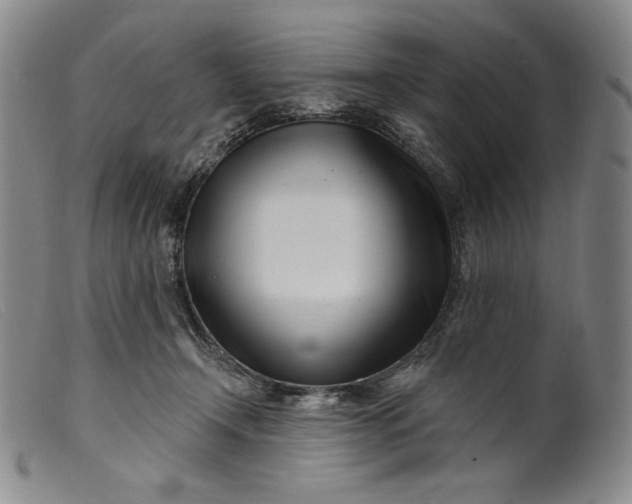 X0000099440366200805231723