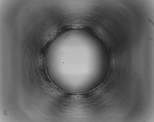 X0000099440367200805231723