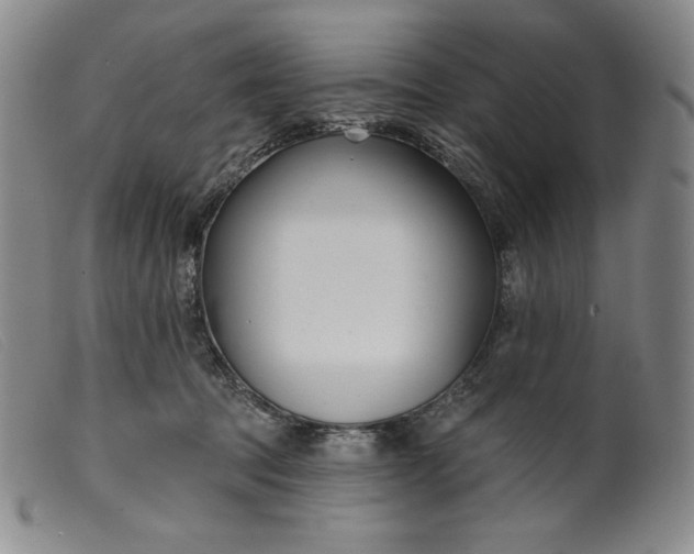 X0000099440369200805231723