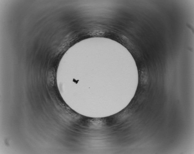 X0000099440370200805231723